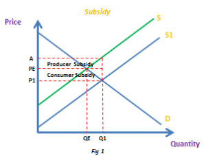 Subsidy (AS/A LEVELS/IB/IAL) – The Tutor Academy