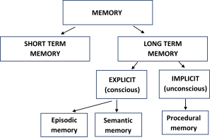 Memory – Type of Long Term Memory – The Tutor Academy