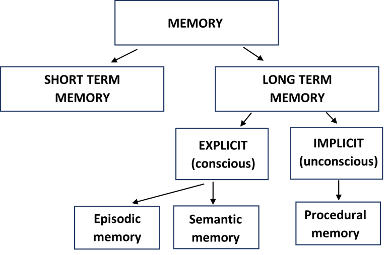 memory-type-of-long-term-memory-the-tutor-academy