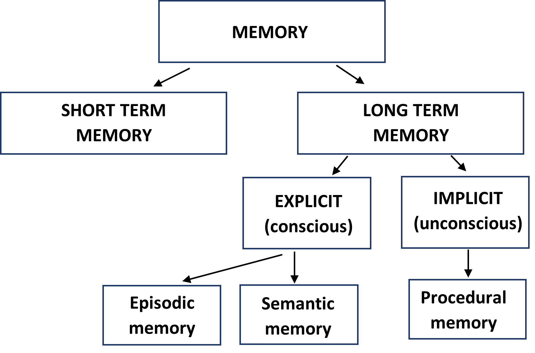 Memory – Type of Long Term Memory – The Tutor Academy