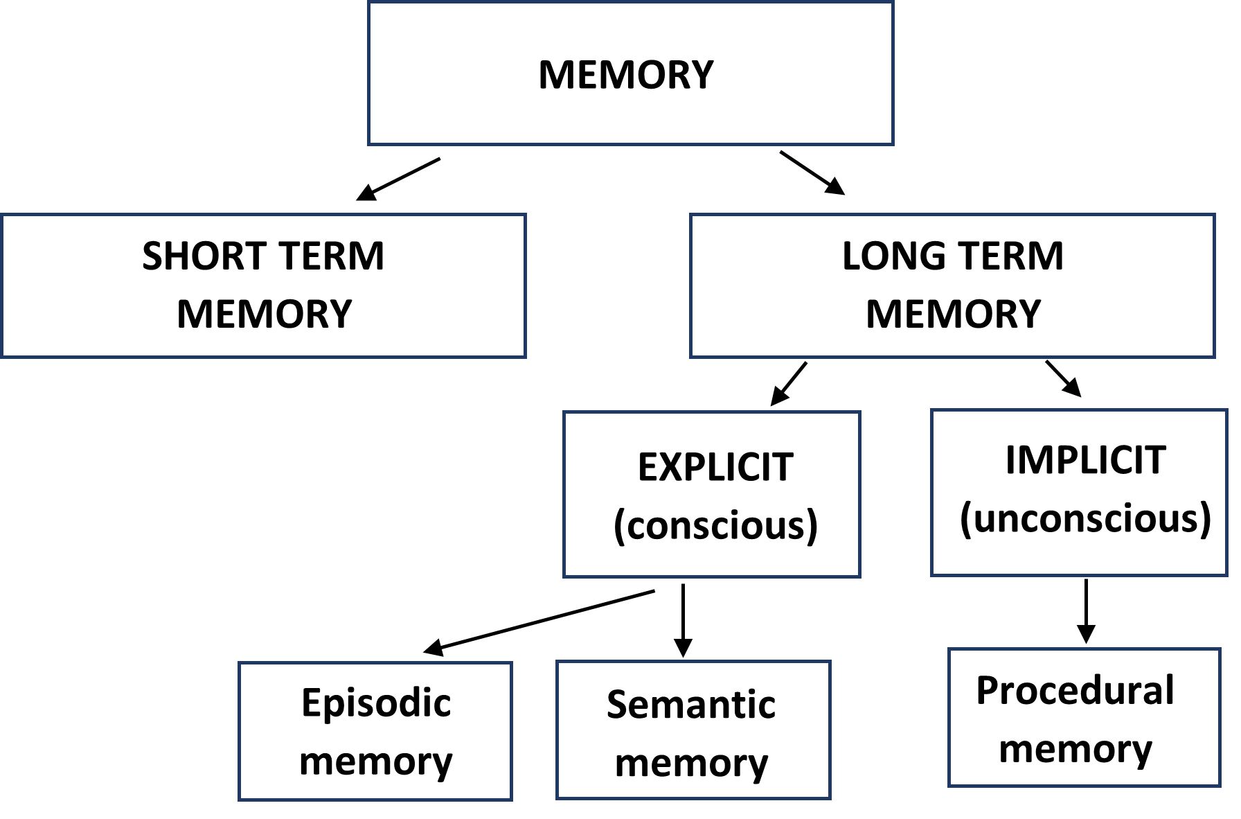 memory-type-of-long-term-memory-the-tutor-academy